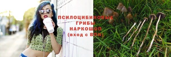 экстази Горнозаводск