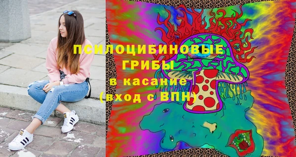 соль ск Вязьма