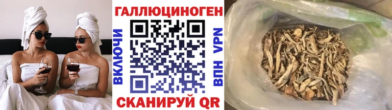 Галлюциногенные грибы Cubensis  цена   Мончегорск 